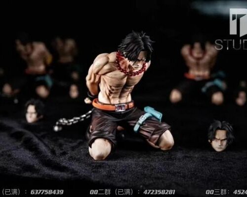 BT丨海賊王 跪姿艾斯